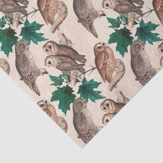 Ontkoppeling van eigendom en bladeren tissuepapier (Detail)