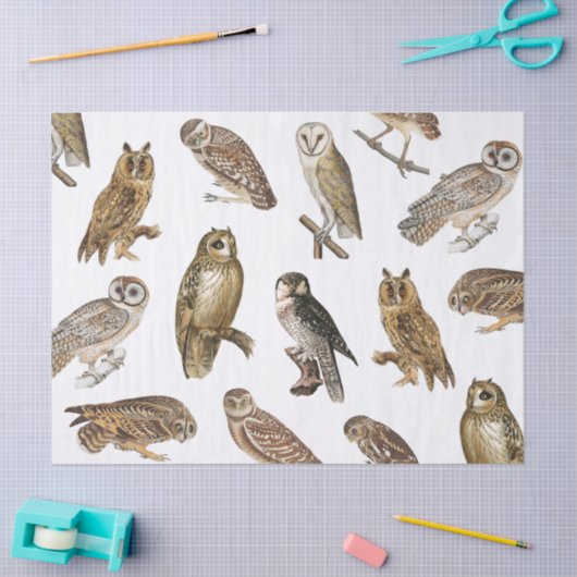  ontkoppeling van gebruikerspatroon tissuepapier (Craft)