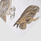  ontkoppeling van gebruikerspatroon tissuepapier (Detail)