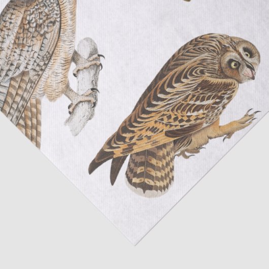  ontkoppeling van gebruikerspatroon tissuepapier (Detail)