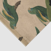 ontkoppeling van groene en gele vogels tissuepapier (Detail)