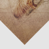 Ontkoppeling van herder tissuepapier (Detail)