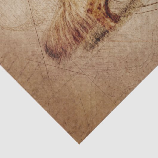 Ontkoppeling van herder tissuepapier (Detail)