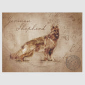 Ontkoppeling van herder tissuepapier (Voorkant)