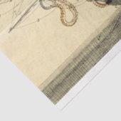  ontkoppeling van het Antiek aan de oceaan Tissuepapier (Detail)