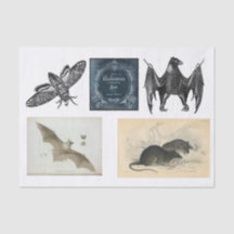 Ontkoppeling van het collectie Halloween