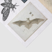 Ontkoppeling van het collectie Halloween Tissuepapier (Detail)