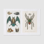 Ontkoppeling van het collectie Halloween Tissuepapier (Voorkant)