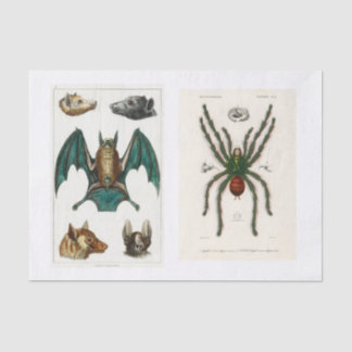 Ontkoppeling van het collectie Halloween Tissuepapier