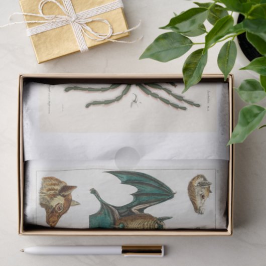 Ontkoppeling van het collectie Halloween Tissuepapier (Geschenk)