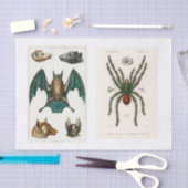 Ontkoppeling van het collectie Halloween Tissuepapier (Craft)