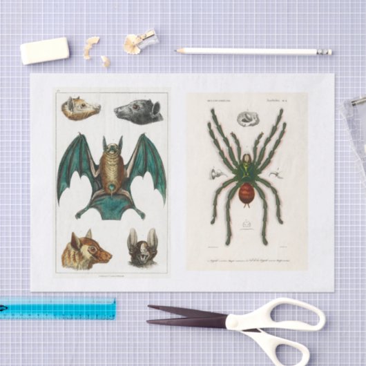 Ontkoppeling van het collectie Halloween Tissuepapier (Craft)