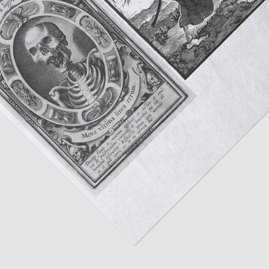 Ontkoppeling van het collectie Halloween Tissuepapier (Detail)