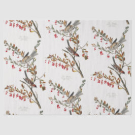 Ontkoppeling van het patroon Sparrows en Branches Tissuepapier