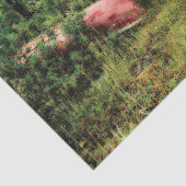 ontkoppeling van het rode kanaal van de Camping Tissuepapier (Detail)