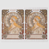 ontkoppeling van het Zodiac-collage Tissuepapier (Voorkant)