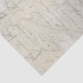 Ontkoppeling van kalligrafiemschaal voor grijs bei tissuepapier (Detail)