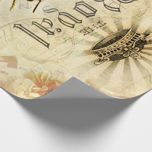 Ontkoppeling van koningin Bee Ephemera Cadeaupapier (Hoek)