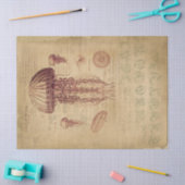  ontkoppeling van kwallen tissuepapier (Craft)