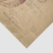  ontkoppeling van kwallen tissuepapier (Detail)