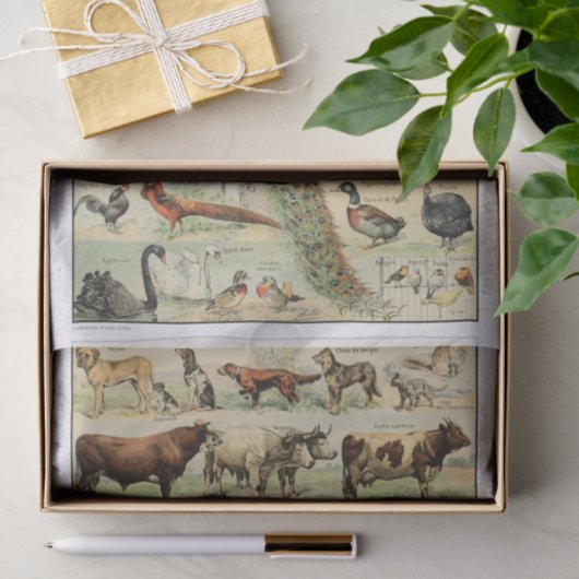 Ontkoppeling van  landbouwhuisdieren tissuepapier (Geschenk)