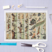 Ontkoppeling van  landbouwhuisdieren tissuepapier (Craft)