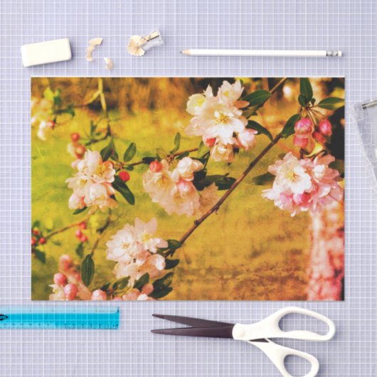 ontkoppeling van lentroze en witte bloesems tissuepapier (Craft)