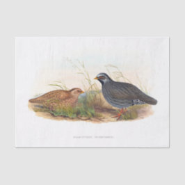 Ontkoppeling van mountain Quail Tissuepapier