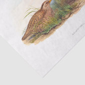 Ontkoppeling van mountain Quail Tissuepapier (Detail)