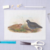 Ontkoppeling van mountain Quail Tissuepapier (Craft)