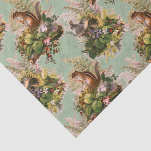 Ontkoppeling van munken en vogels tissuepapier (Detail)