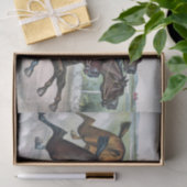 Ontkoppeling van  paardenras tissuepapier (Geschenk)