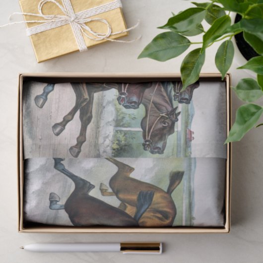 Ontkoppeling van  paardenras tissuepapier (Geschenk)