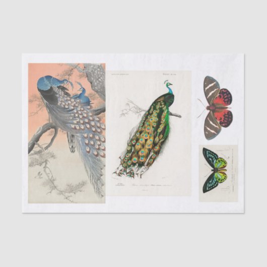 Ontkoppeling van peracock en vlinder tissuepapier (Voorkant)