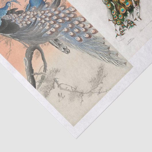 Ontkoppeling van peracock en vlinder tissuepapier (Detail)