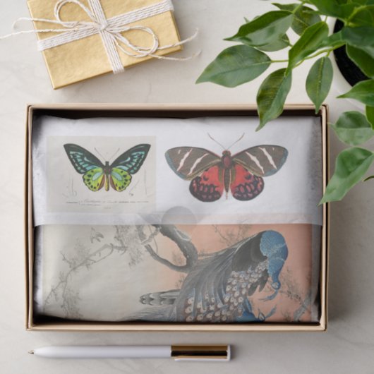 Ontkoppeling van peracock en vlinder tissuepapier (Geschenk)