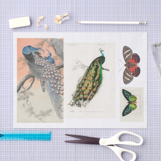 Ontkoppeling van peracock en vlinder tissuepapier (Craft)