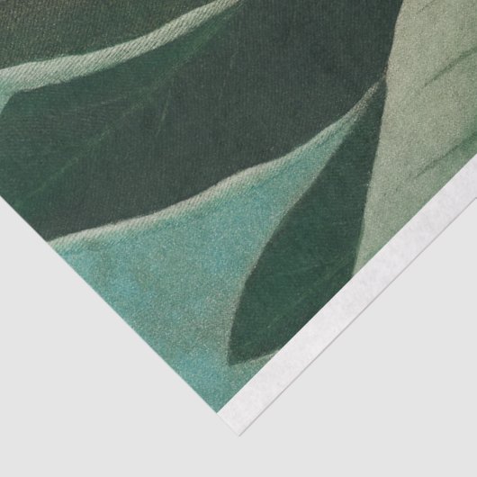 Ontkoppeling van tropische bloemen aan paradijsvog tissuepapier (Detail)