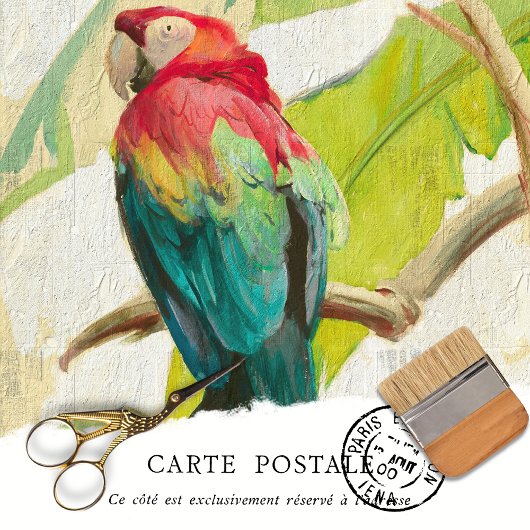  ontkoppeling van tropische vogelsoorten tissuepapier