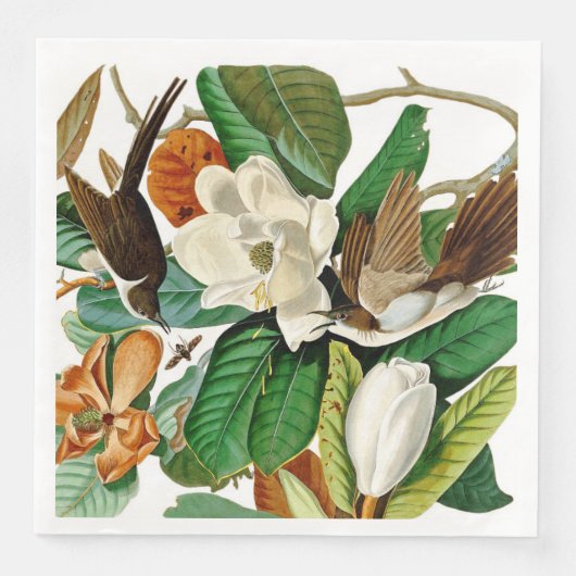  ontkoppeling van vogelpest servet (Voorkant)