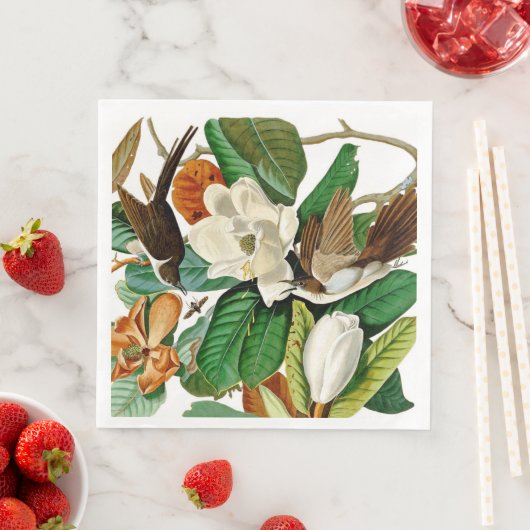  ontkoppeling van vogelpest servet (Insitu)