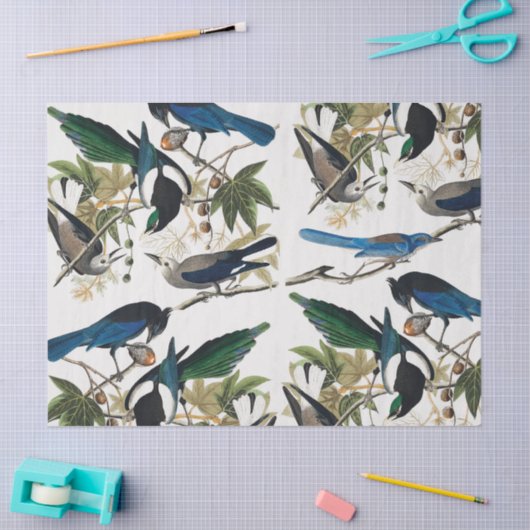  ontkoppeling van vogels en bladeren tissuepapier (Craft)