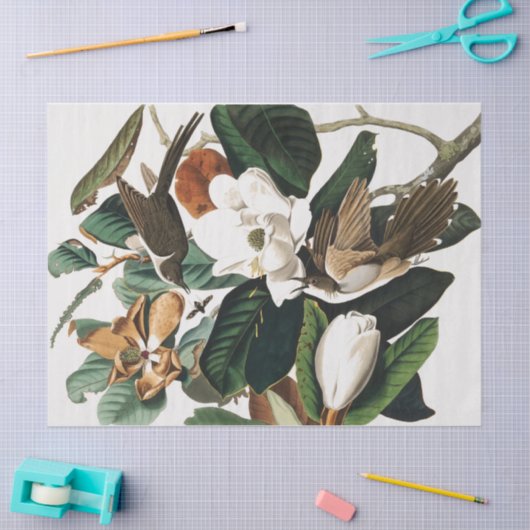 ontkoppeling van  vogels en bloemen tissuepapier (Craft)