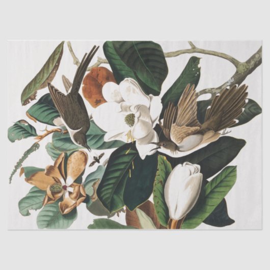 ontkoppeling van  vogels en bloemen tissuepapier (Voorkant)