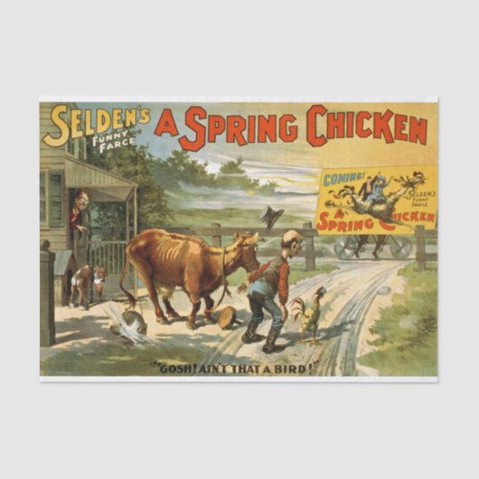 Ontkoppeling van voorjaarskip tissuepapier (Voorkant)