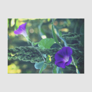 Ontkoppeling van Wild Morning Glory Flowers Tissuepapier