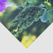 Ontkoppeling van Wild Morning Glory Flowers Tissuepapier (Detail)