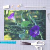 Ontkoppeling van Wild Morning Glory Flowers Tissuepapier (Craft)