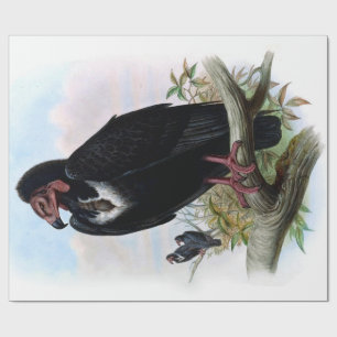 ontkoppeling van zwarte-bijenteeltvogels cadeaupapier