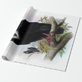  ontkoppeling van zwarte-bijenteeltvogels cadeaupapier (Uitgerold)